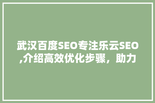 武汉百度SEO专注乐云SEO,介绍高效优化步骤，助力企业腾飞