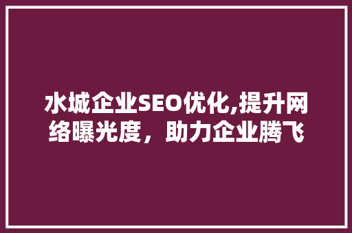 水城企业SEO优化,提升网络曝光度，助力企业腾飞