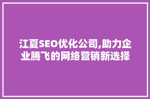 江夏SEO优化公司,助力企业腾飞的网络营销新选择