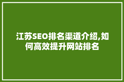 江苏SEO排名渠道介绍,如何高效提升网站排名