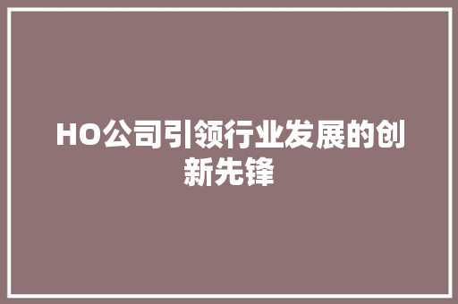 HO公司引领行业发展的创新先锋