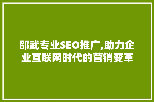 邵武专业SEO推广,助力企业互联网时代的营销变革
