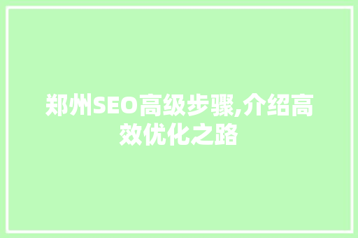 郑州SEO高级步骤,介绍高效优化之路