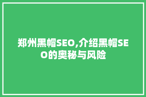 郑州黑帽SEO,介绍黑帽SEO的奥秘与风险  第1张