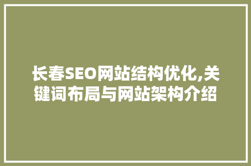 长春SEO网站结构优化,关键词布局与网站架构介绍