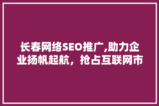 长春网络SEO推广,助力企业扬帆起航，抢占互联网市场先机