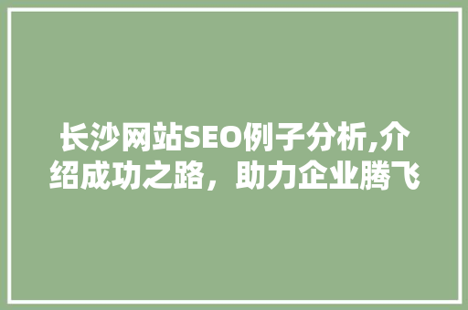长沙网站SEO例子分析,介绍成功之路，助力企业腾飞