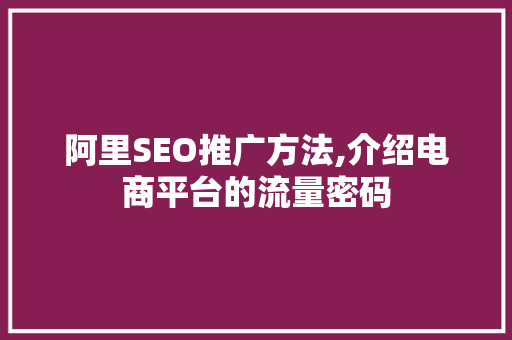 阿里SEO推广方法,介绍电商平台的流量密码