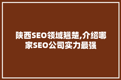 陕西SEO领域翘楚,介绍哪家SEO公司实力最强