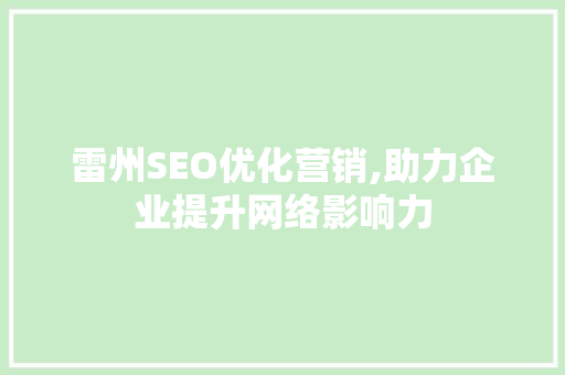 雷州SEO优化营销,助力企业提升网络影响力
