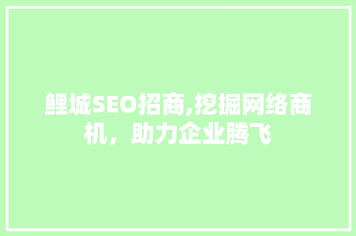 鲤城SEO招商,挖掘网络商机，助力企业腾飞