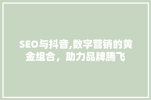 SEO与抖音,数字营销的黄金组合，助力品牌腾飞