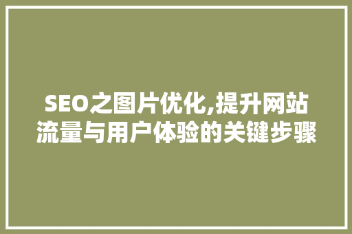 SEO之图片优化,提升网站流量与用户体验的关键步骤