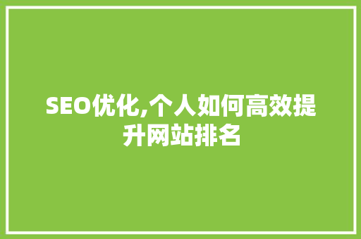 SEO优化,个人如何高效提升网站排名