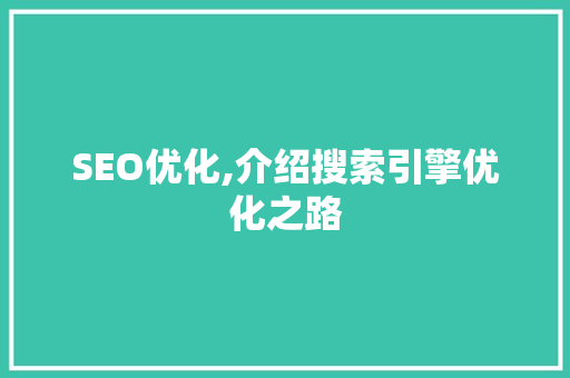 SEO优化,介绍搜索引擎优化之路