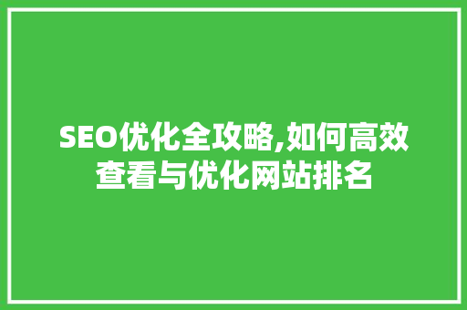 SEO优化全攻略,如何高效查看与优化网站排名