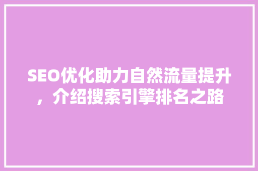 SEO优化助力自然流量提升，介绍搜索引擎排名之路