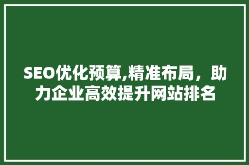 SEO优化预算,精准布局，助力企业高效提升网站排名