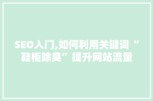 SEO入门,如何利用关键词“鞋柜除臭”提升网站流量