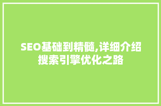 SEO基础到精髓,详细介绍搜索引擎优化之路