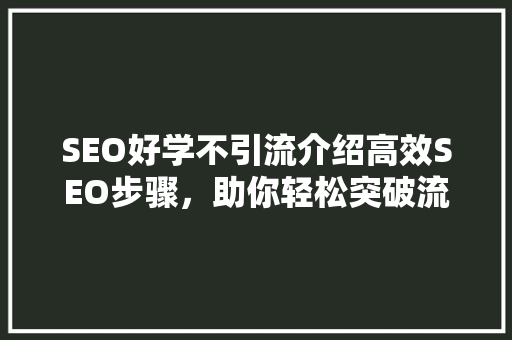 SEO好学不引流介绍高效SEO步骤，助你轻松突破流量瓶颈