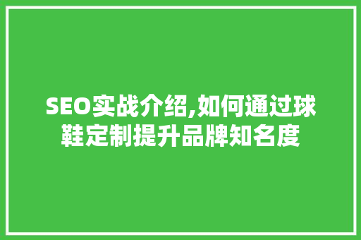 SEO实战介绍,如何通过球鞋定制提升品牌知名度