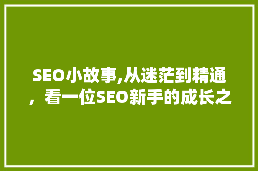 SEO小故事,从迷茫到精通，看一位SEO新手的成长之路