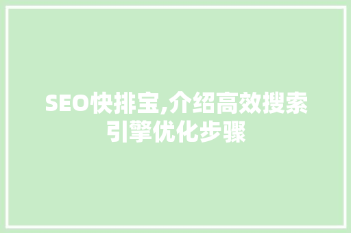 SEO快排宝,介绍高效搜索引擎优化步骤
