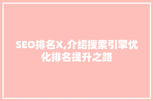 SEO排名X,介绍搜索引擎优化排名提升之路