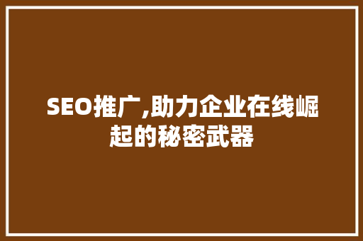 SEO推广,助力企业在线崛起的秘密武器