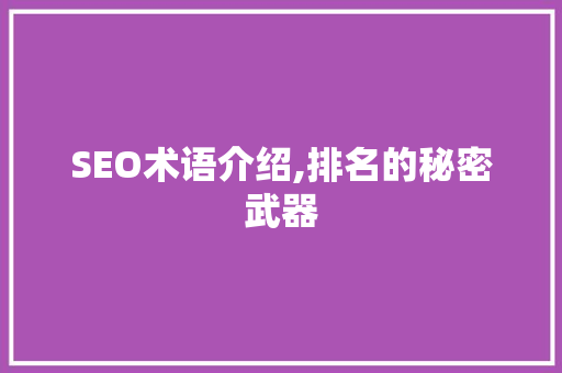 SEO术语介绍,排名的秘密武器