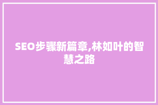SEO步骤新篇章,林如叶的智慧之路