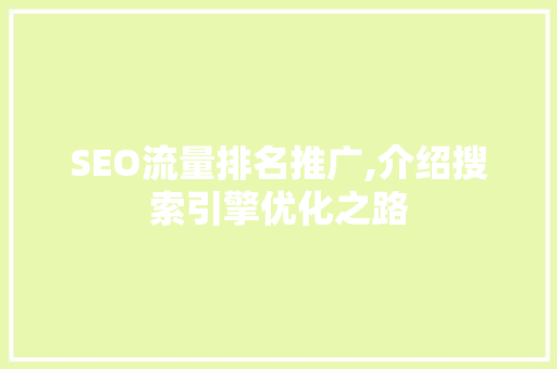 SEO流量排名推广,介绍搜索引擎优化之路