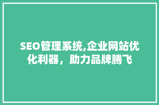 SEO管理系统,企业网站优化利器，助力品牌腾飞