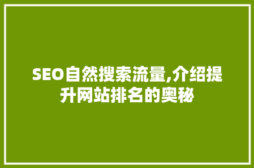 SEO自然搜索流量,介绍提升网站排名的奥秘