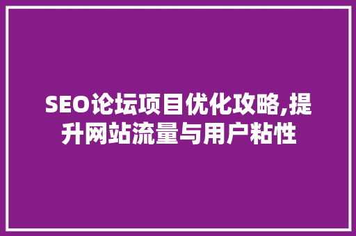 SEO论坛项目优化攻略,提升网站流量与用户粘性