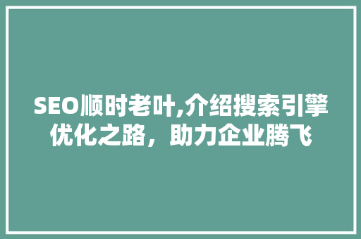 SEO顺时老叶,介绍搜索引擎优化之路，助力企业腾飞