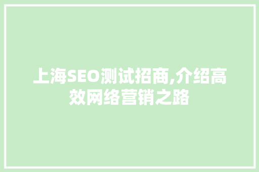 上海SEO测试招商,介绍高效网络营销之路
