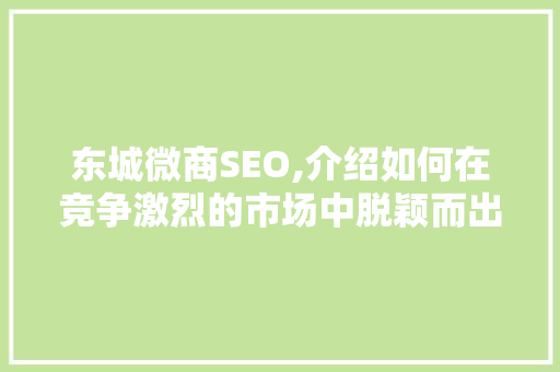 东城微商SEO,介绍如何在竞争激烈的市场中脱颖而出