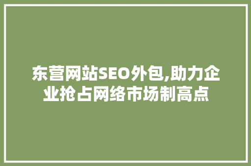 东营网站SEO外包,助力企业抢占网络市场制高点