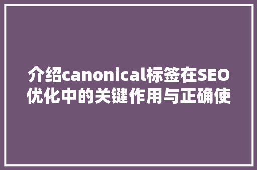 介绍canonical标签在SEO优化中的关键作用与正确使用方法