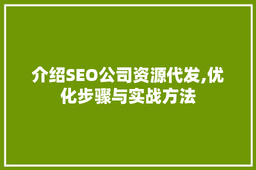 介绍SEO公司资源代发,优化步骤与实战方法