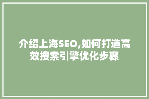 介绍上海SEO,如何打造高效搜索引擎优化步骤