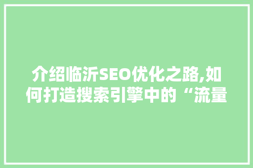 介绍临沂SEO优化之路,如何打造搜索引擎中的“流量之王”