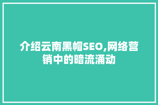 介绍云南黑帽SEO,网络营销中的暗流涌动