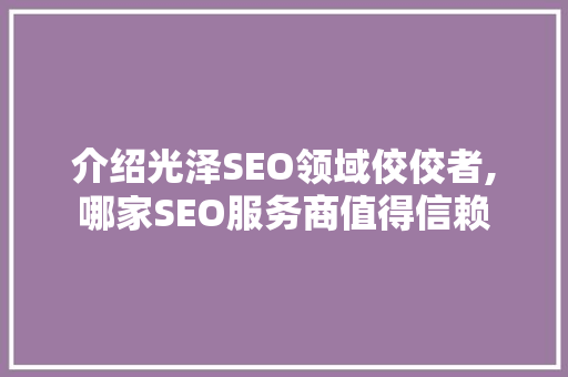 介绍光泽SEO领域佼佼者,哪家SEO服务商值得信赖