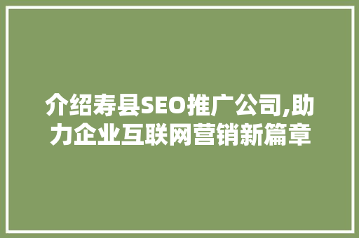 介绍寿县SEO推广公司,助力企业互联网营销新篇章