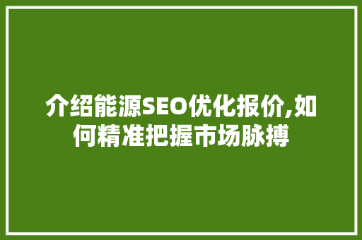 介绍能源SEO优化报价,如何精准把握市场脉搏