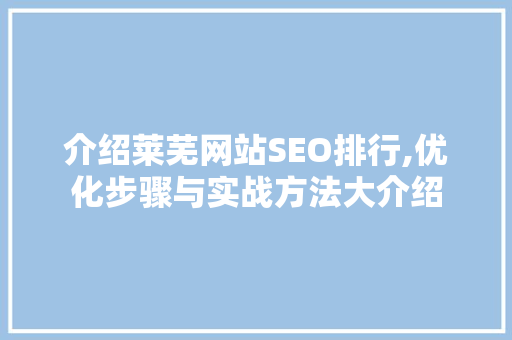 介绍莱芜网站SEO排行,优化步骤与实战方法大介绍