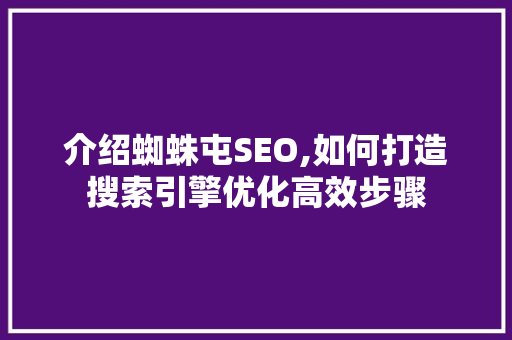 介绍蜘蛛屯SEO,如何打造搜索引擎优化高效步骤